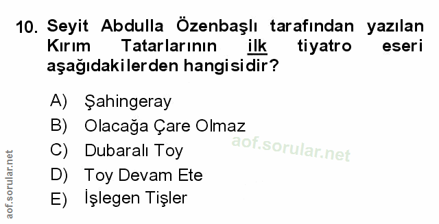 Soru 10
