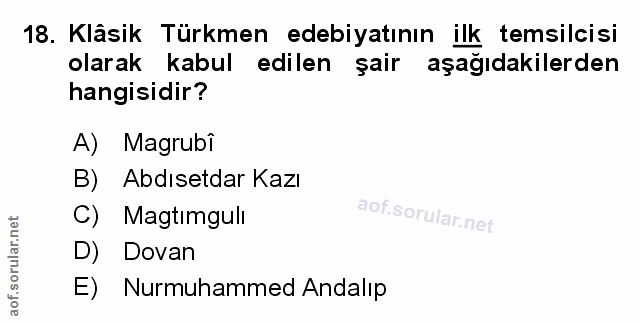 Soru 18