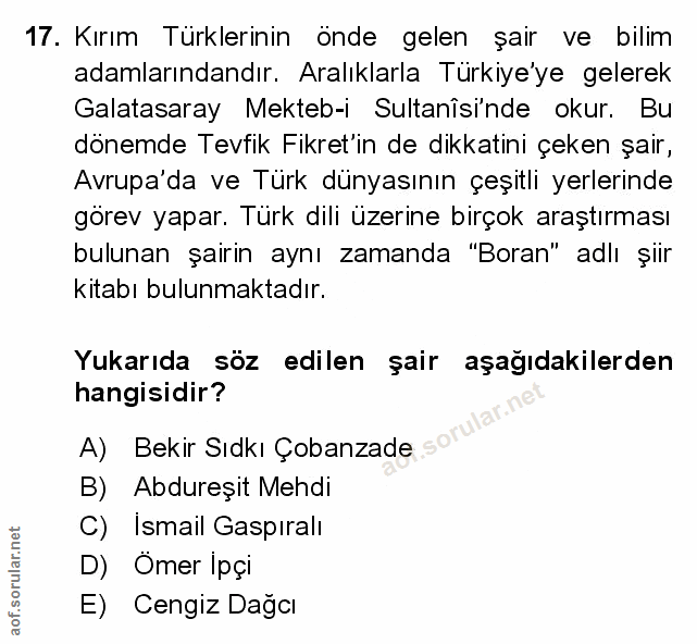Soru 17