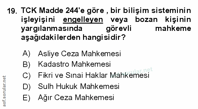 Soru 19