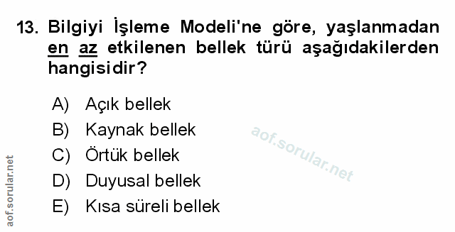 Soru 13