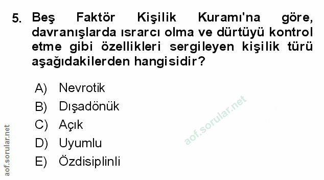 Soru 5