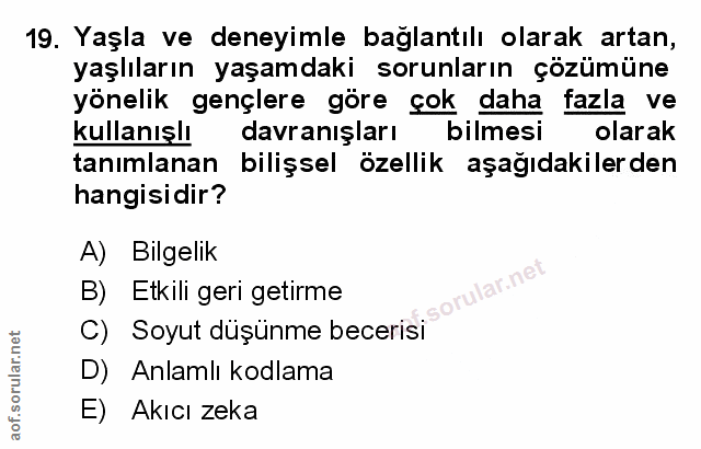 Soru 19