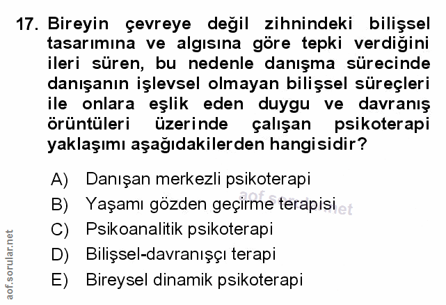 Soru 17