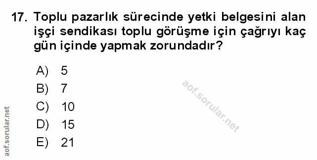 Soru 17