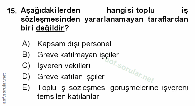 Soru 15
