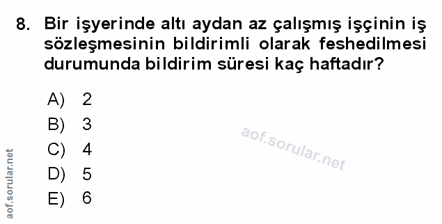 Soru 8