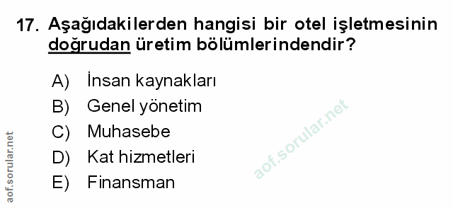 Soru 17