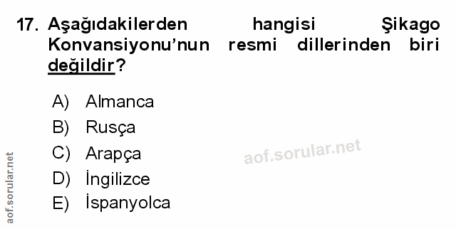 Soru 17