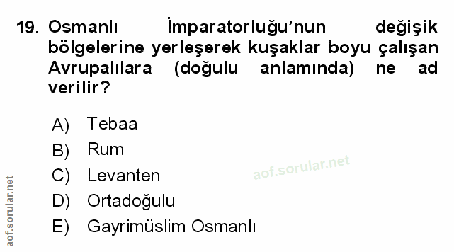 Soru 19