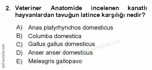 Soru 2