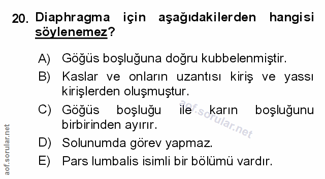 Soru 20