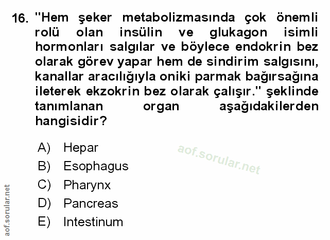 Soru 16