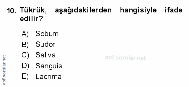 Soru 10