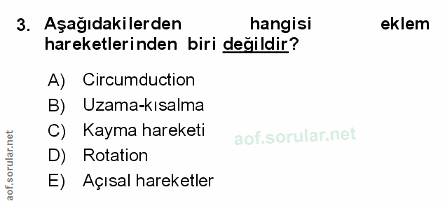 Soru 3