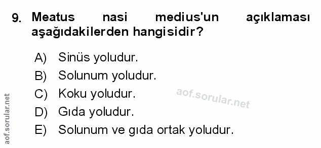 Soru 9