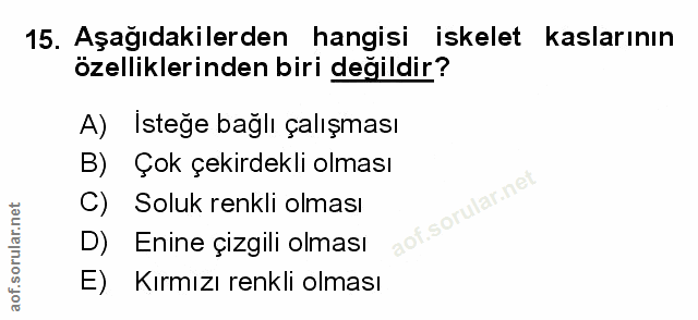 Soru 15