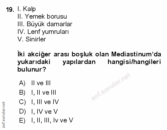 Soru 19