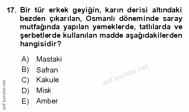 Soru 17