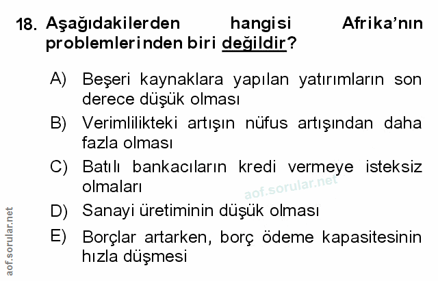 Soru 18