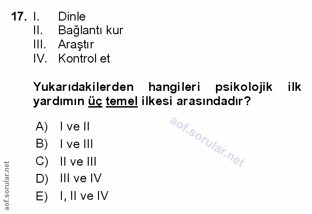 Soru 17