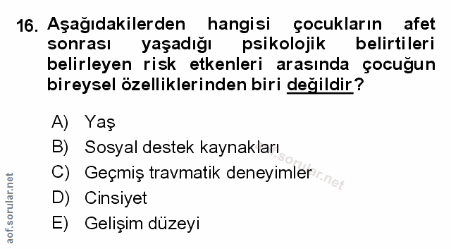 Soru 16