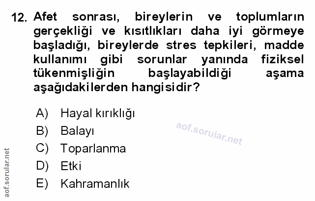 Soru 12