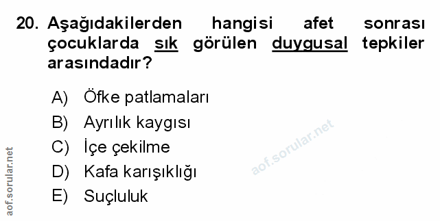 Soru 20