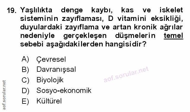 Soru 19