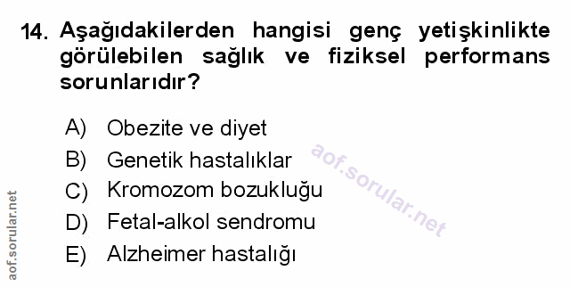 Soru 14
