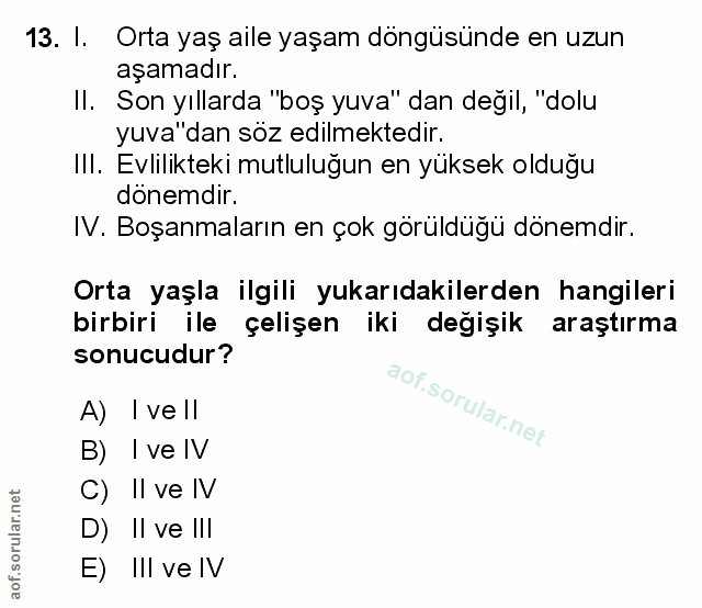 Soru 13
