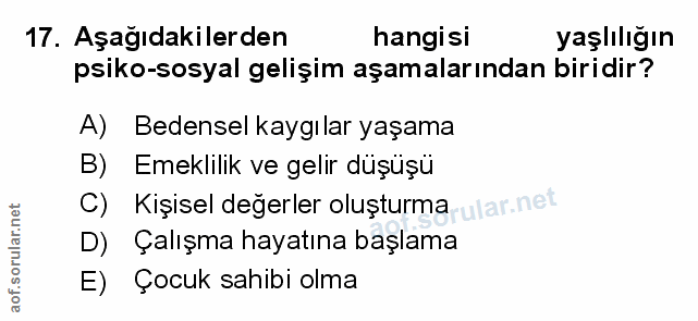 Soru 17