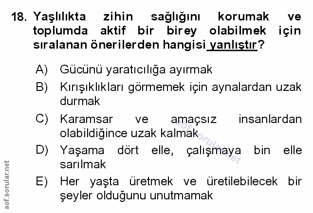 Soru 18