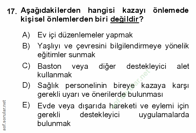 Soru 17