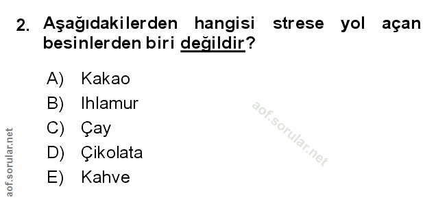 Soru 2