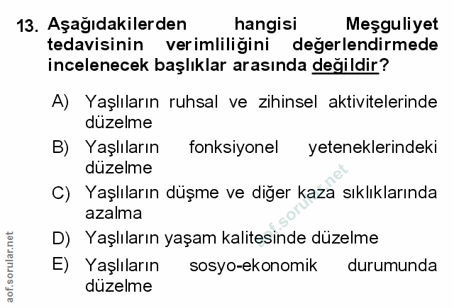 Soru 13