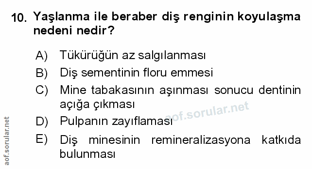 Soru 10