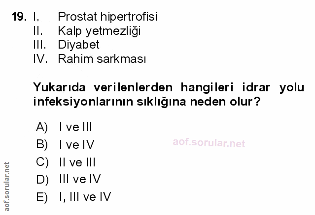 Soru 19