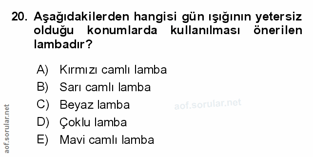 Soru 20