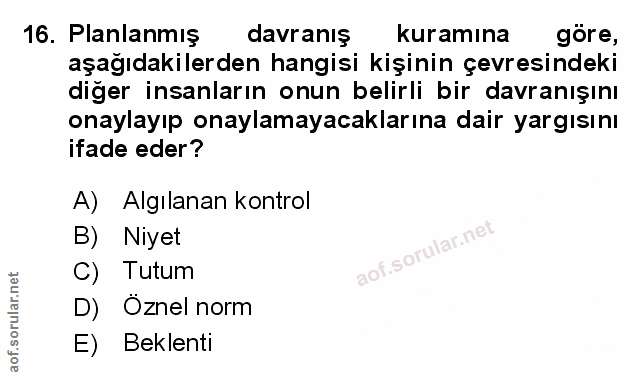 Soru 16