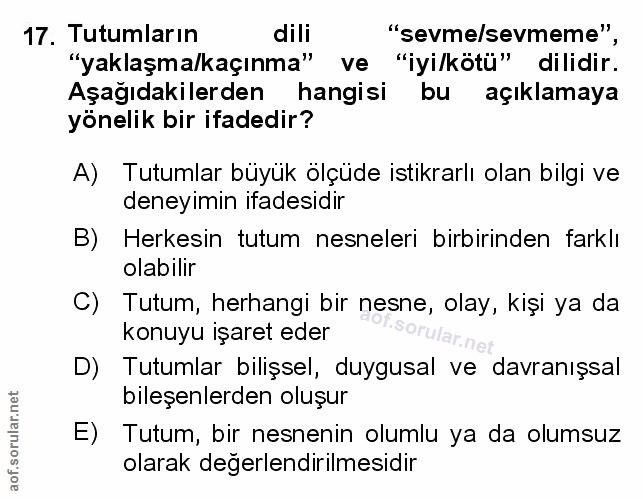 Soru 17