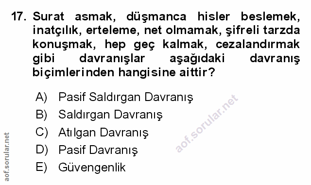 Soru 17