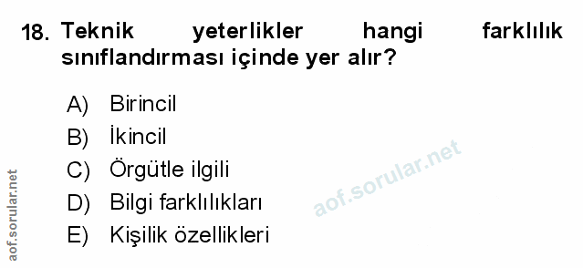 Soru 18