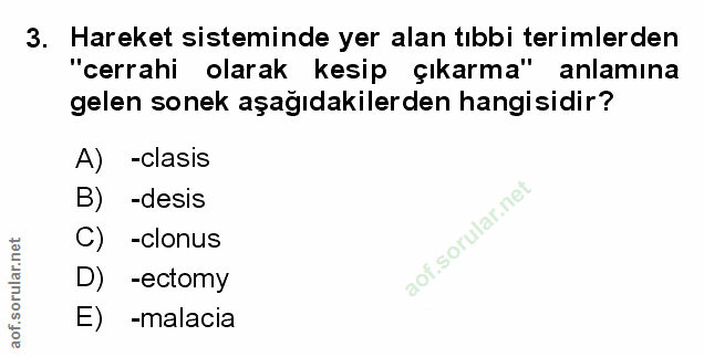 Soru 3