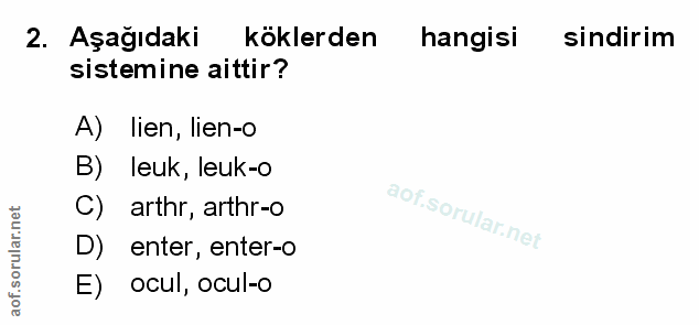 Soru 2