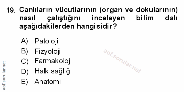 Soru 19
