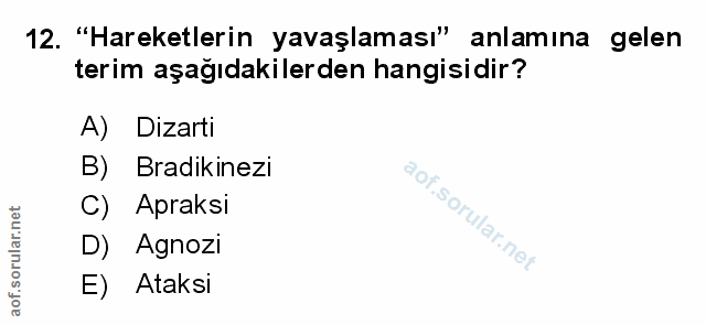 Soru 12