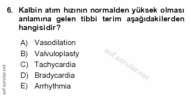 Soru 6