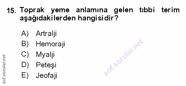 Soru 15