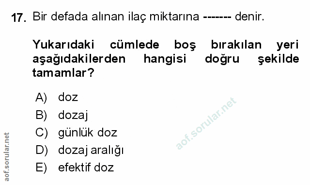 Soru 17